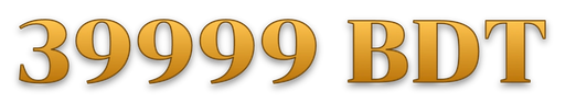 bd39999bdt.com Logo